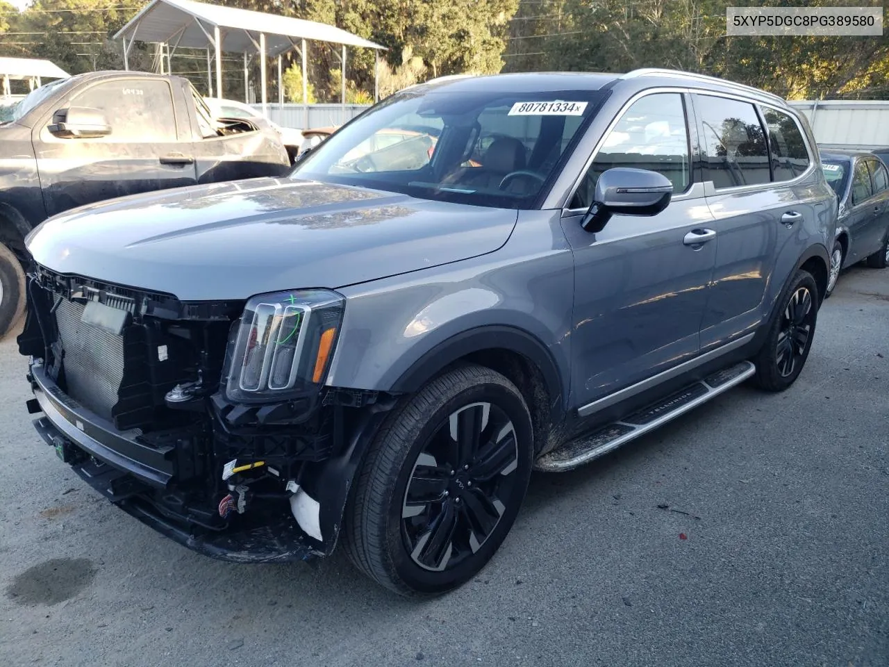 2023 Kia Telluride Sx VIN: 5XYP5DGC8PG389580 Lot: 80781334