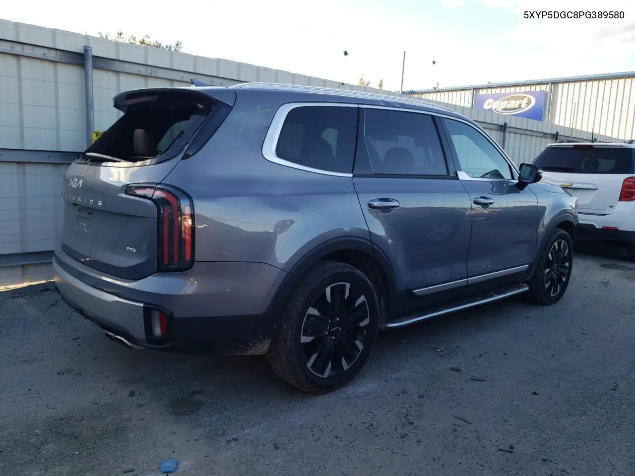 2023 Kia Telluride Sx VIN: 5XYP5DGC8PG389580 Lot: 80781334