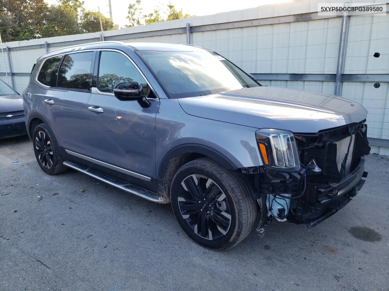 2023 Kia Telluride Sx VIN: 5XYP5DGC8PG389580 Lot: 80781334