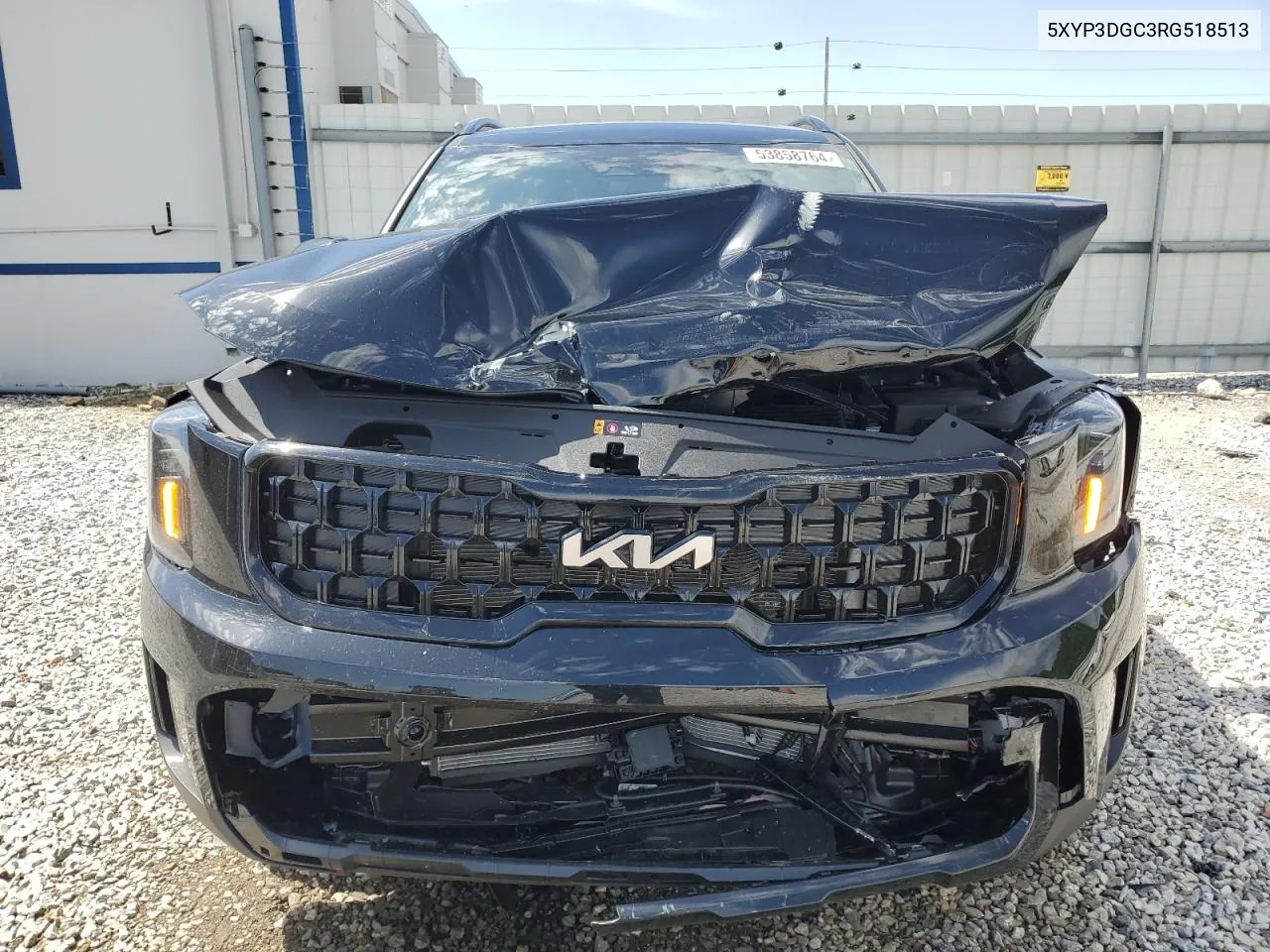 2024 Kia Telluride Ex VIN: 5XYP3DGC3RG518513 Lot: 53858764