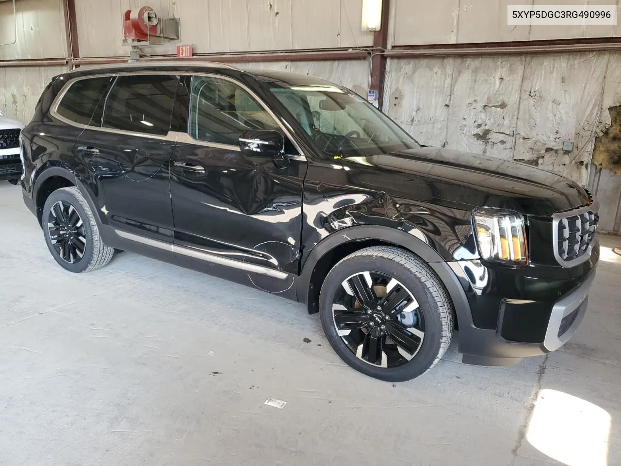 2024 Kia Telluride Sx VIN: 5XYP5DGC3RG490996 Lot: 67886124