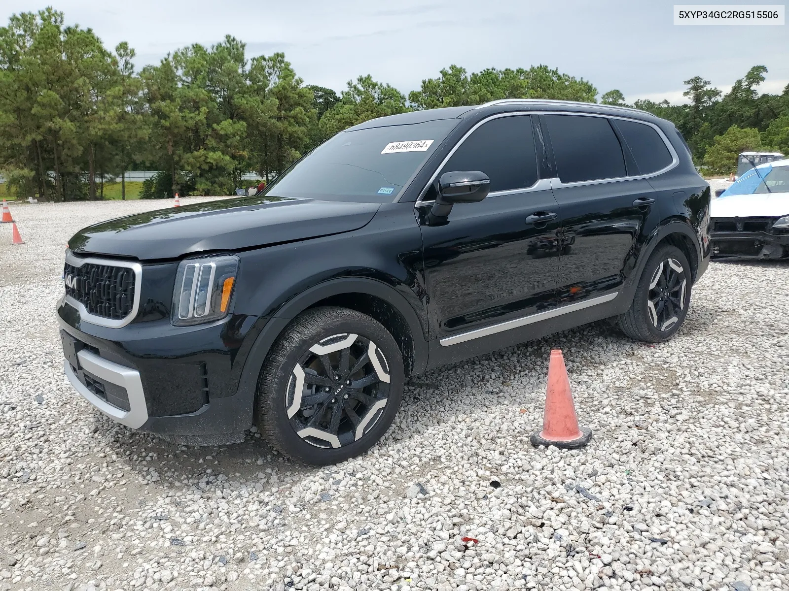 2024 Kia Telluride Ex VIN: 5XYP34GC2RG515506 Lot: 68490364