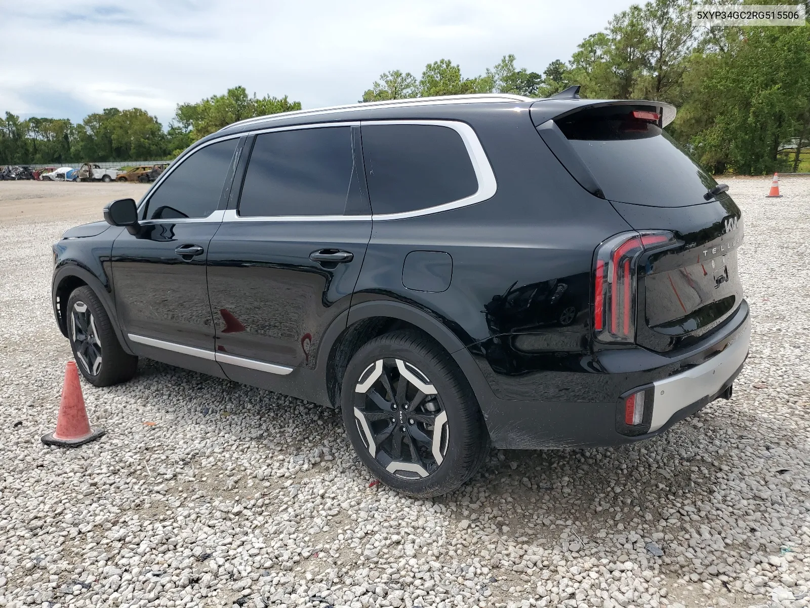 2024 Kia Telluride Ex VIN: 5XYP34GC2RG515506 Lot: 68490364