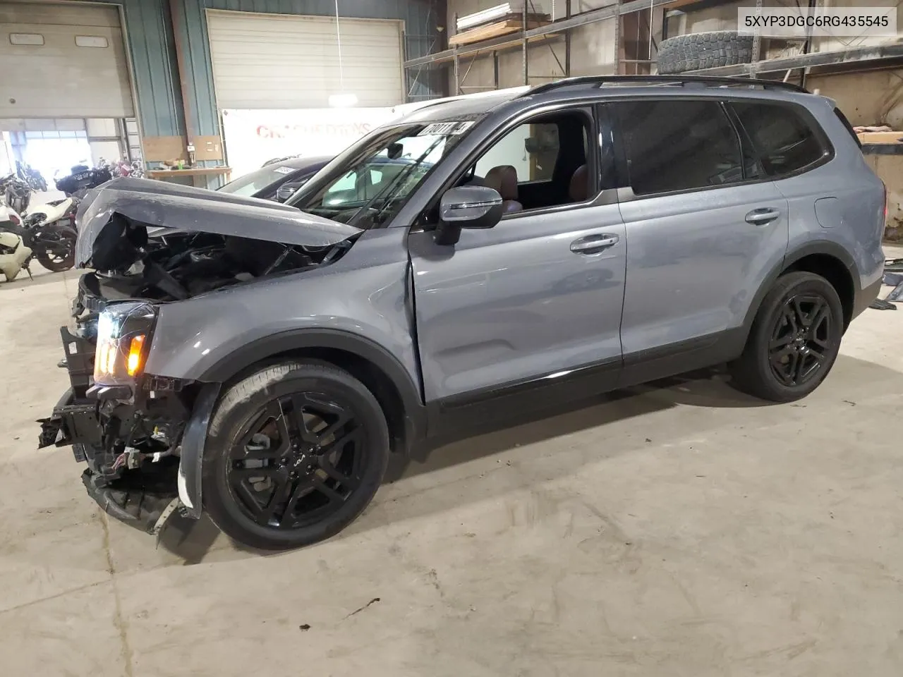 2024 Kia Telluride Ex VIN: 5XYP3DGC6RG435545 Lot: 70011144