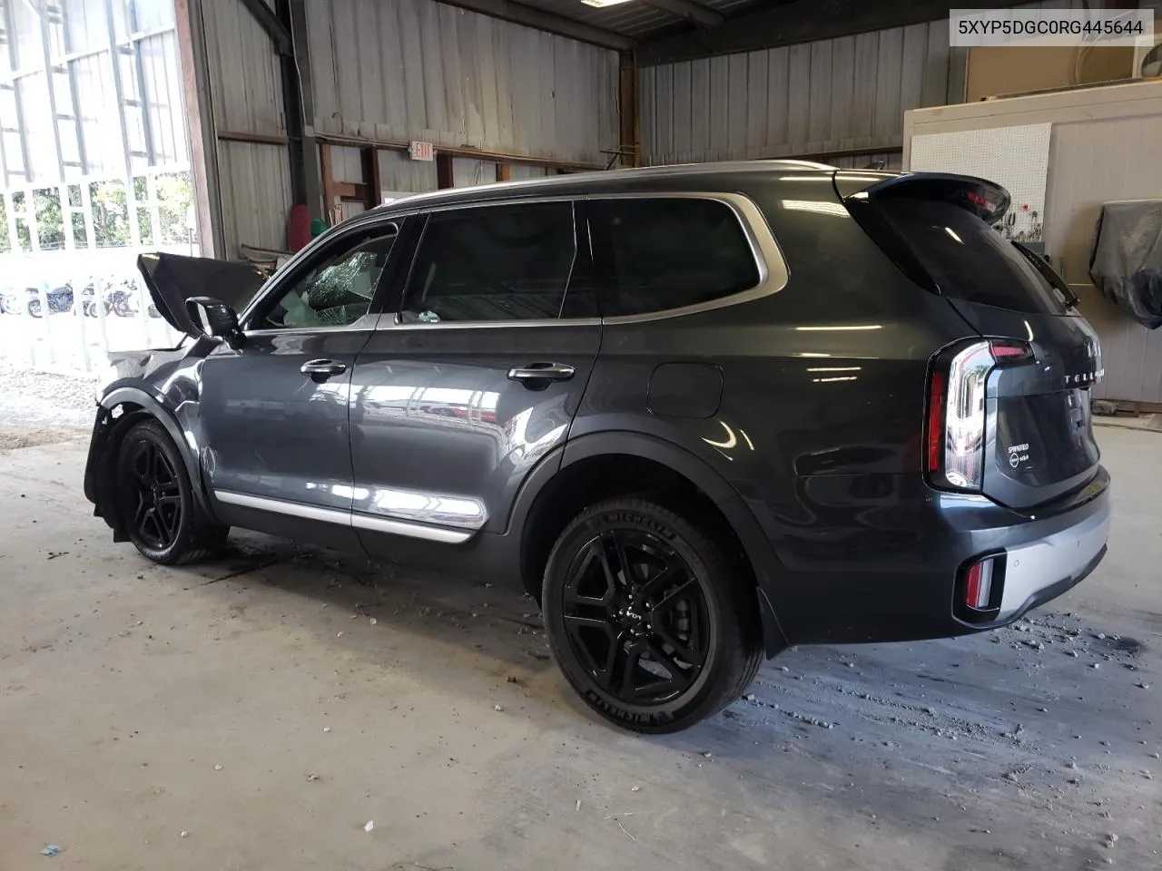 2024 Kia Telluride Sx VIN: 5XYP5DGC0RG445644 Lot: 70800154