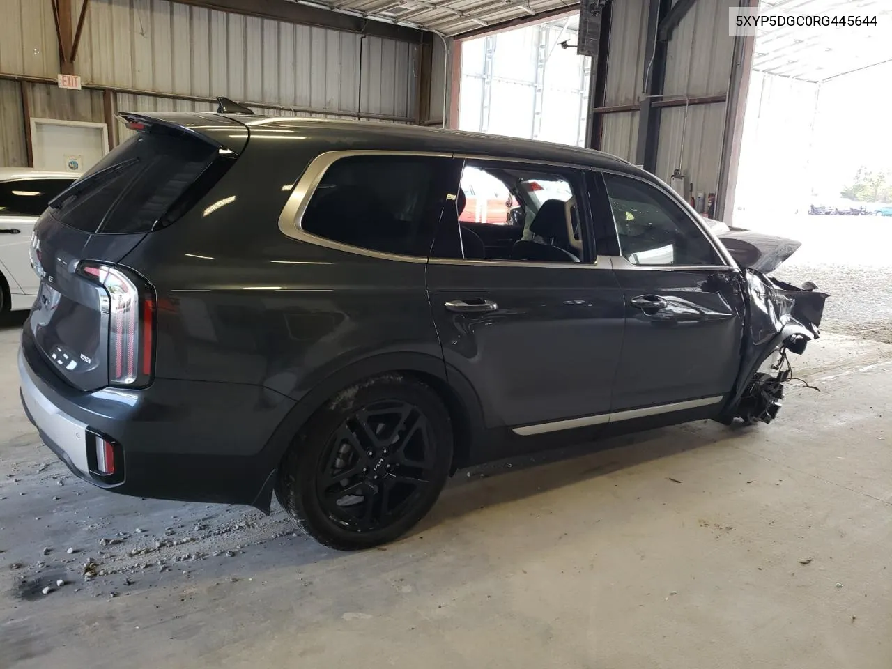 2024 Kia Telluride Sx VIN: 5XYP5DGC0RG445644 Lot: 70800154