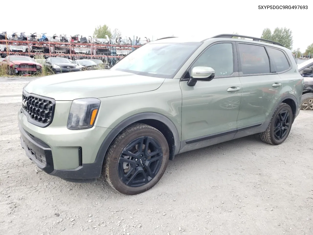 2024 Kia Telluride Sx VIN: 5XYP5DGC9RG497693 Lot: 70834304