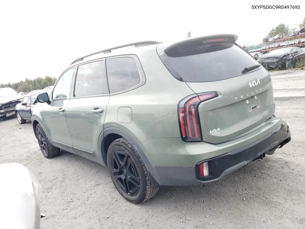 2024 Kia Telluride Sx VIN: 5XYP5DGC9RG497693 Lot: 70834304