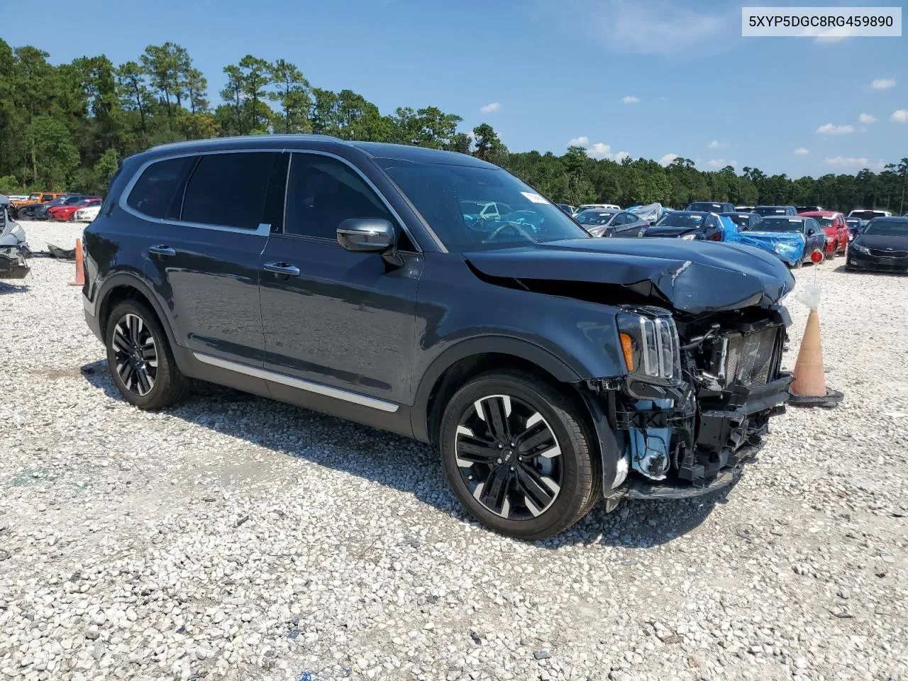 2024 Kia Telluride Sx VIN: 5XYP5DGC8RG459890 Lot: 71304884