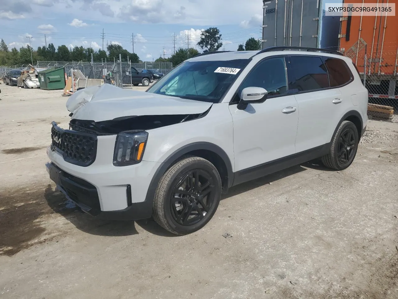 2024 Kia Telluride Ex VIN: 5XYP3DGC9RG491365 Lot: 71683764