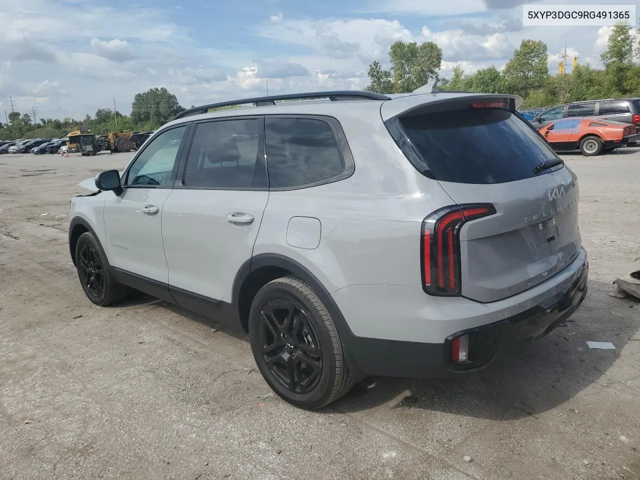 2024 Kia Telluride Ex VIN: 5XYP3DGC9RG491365 Lot: 71683764