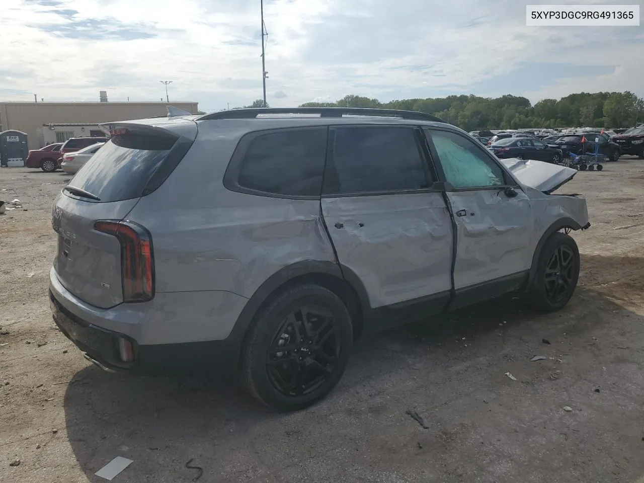 2024 Kia Telluride Ex VIN: 5XYP3DGC9RG491365 Lot: 71683764