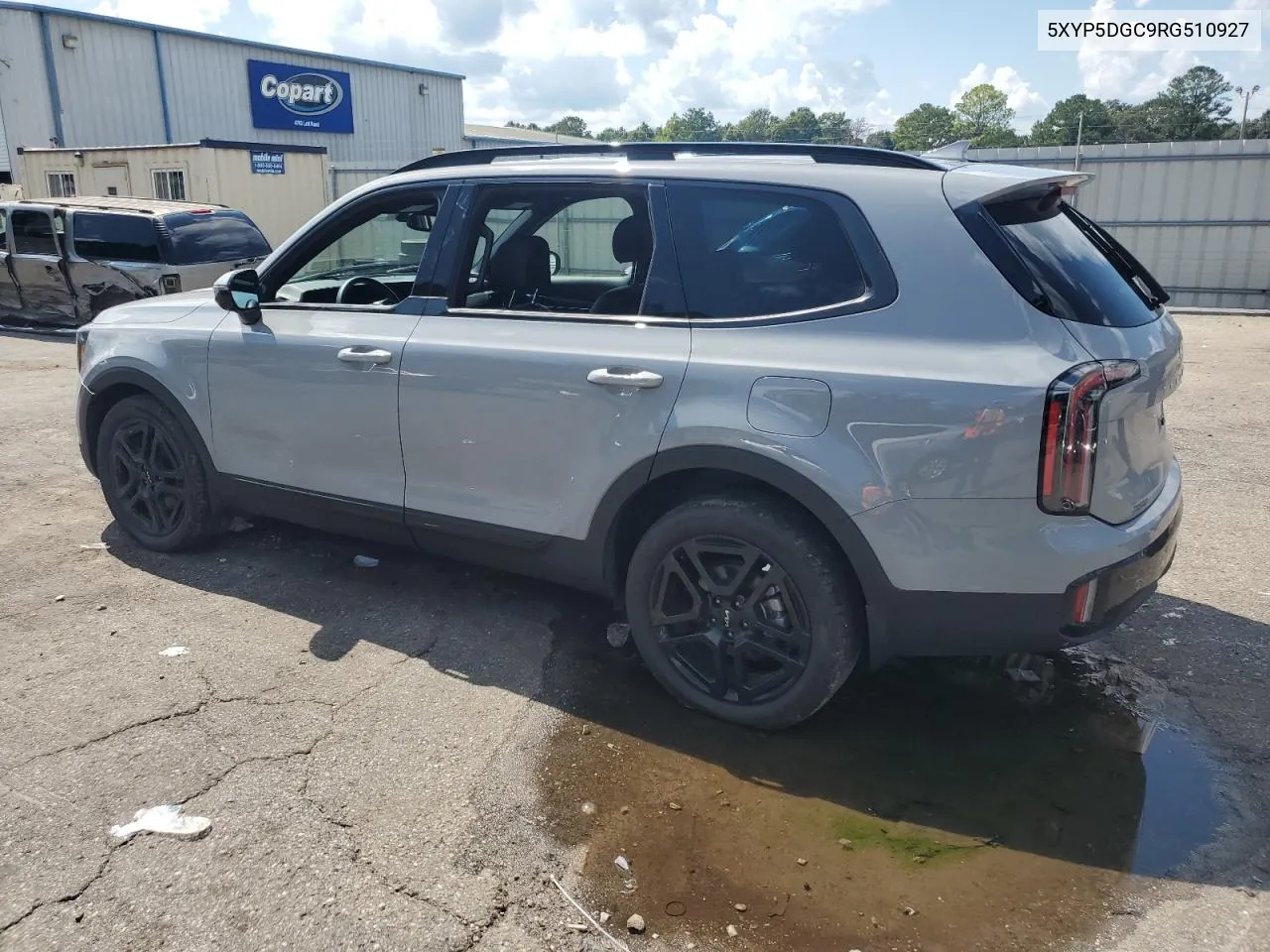 2024 Kia Telluride Sx VIN: 5XYP5DGC9RG510927 Lot: 71762934