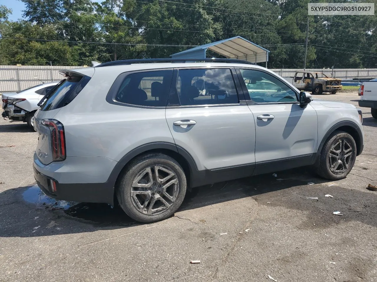 2024 Kia Telluride Sx VIN: 5XYP5DGC9RG510927 Lot: 71762934