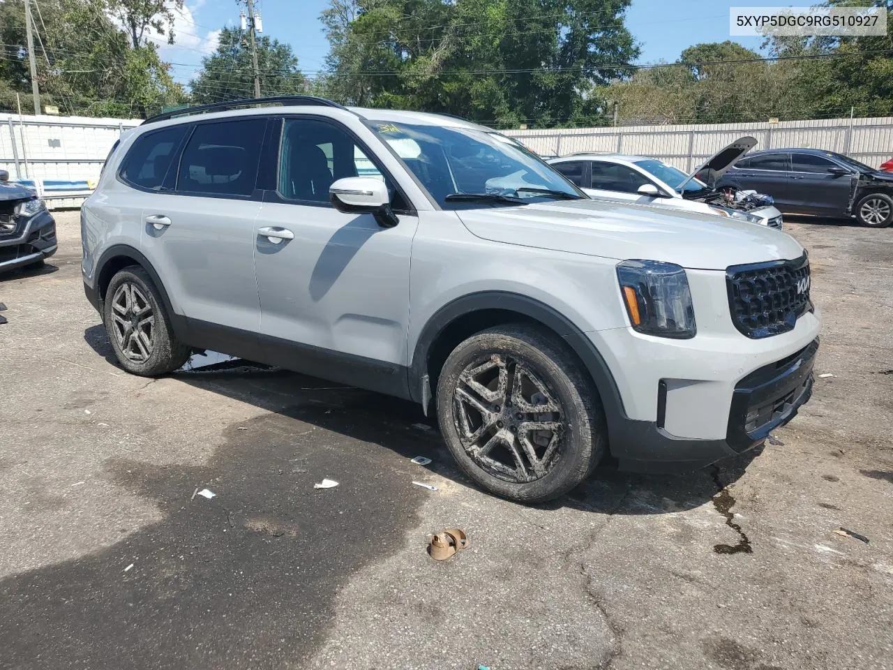 2024 Kia Telluride Sx VIN: 5XYP5DGC9RG510927 Lot: 71762934