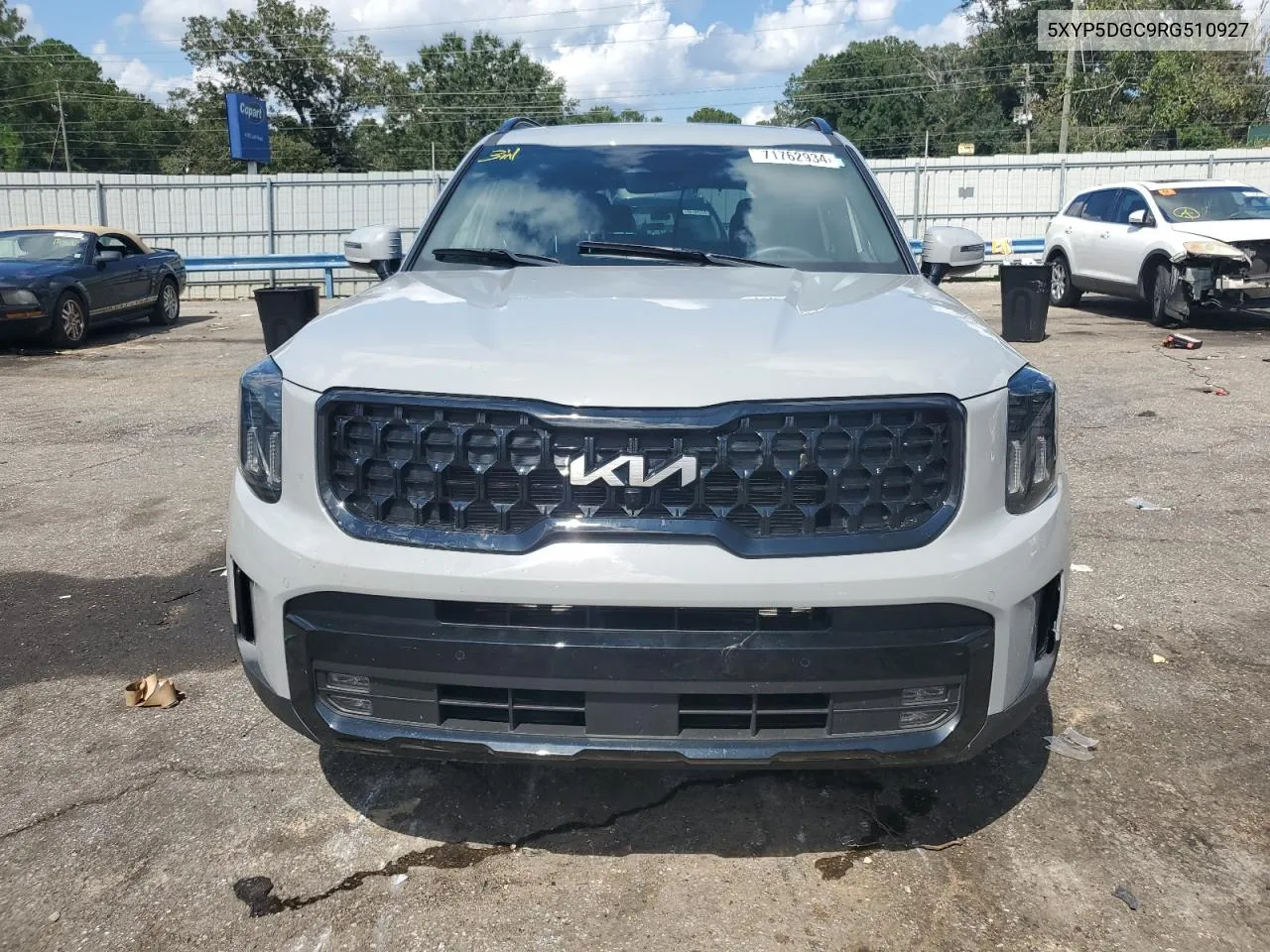 2024 Kia Telluride Sx VIN: 5XYP5DGC9RG510927 Lot: 71762934