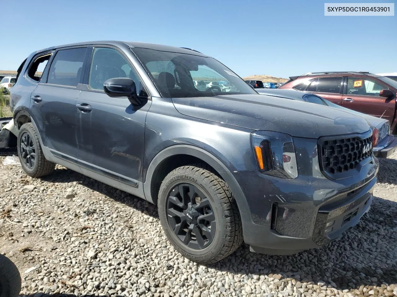 2024 Kia Telluride Sx VIN: 5XYP5DGC1RG453901 Lot: 72140814