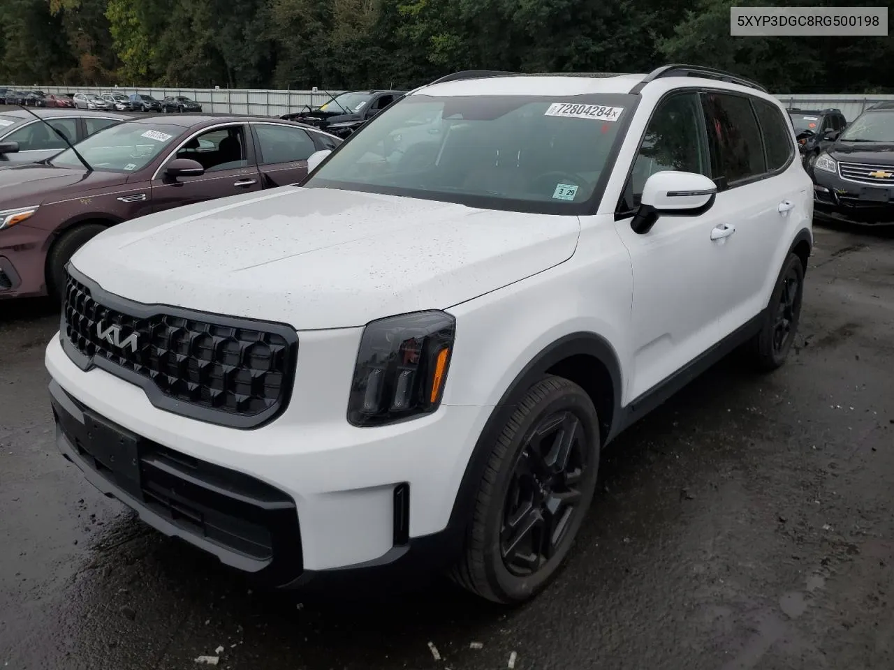 2024 Kia Telluride Ex VIN: 5XYP3DGC8RG500198 Lot: 72804284