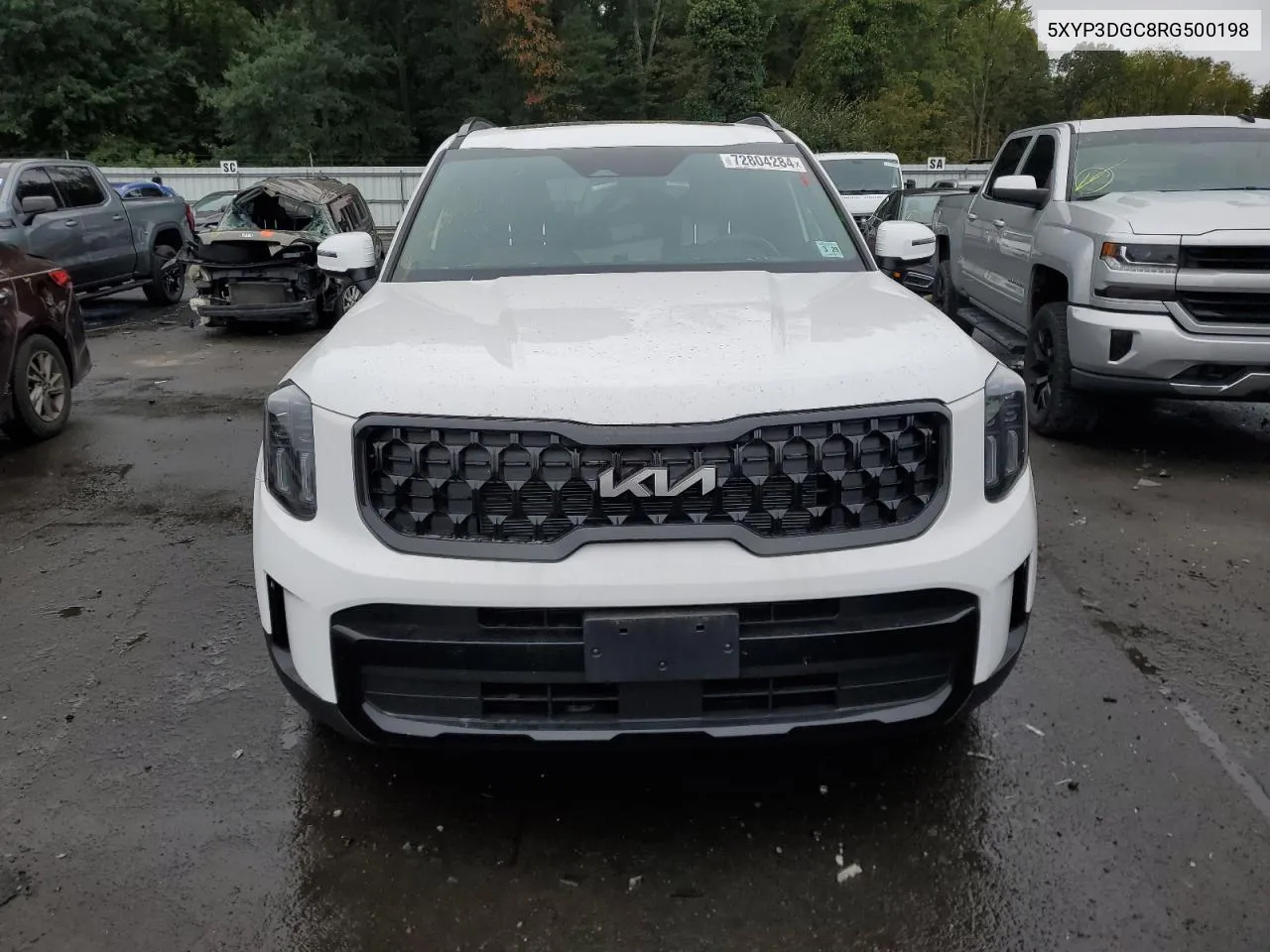 2024 Kia Telluride Ex VIN: 5XYP3DGC8RG500198 Lot: 72804284