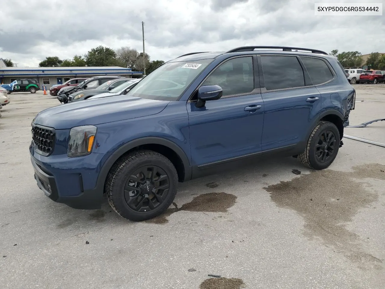 2024 Kia Telluride Sx VIN: 5XYP5DGC6RG534442 Lot: 72935454