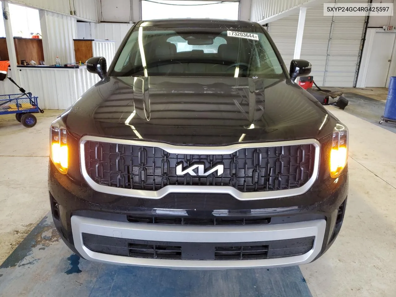 2024 Kia Telluride Lx VIN: 5XYP24GC4RG425597 Lot: 73203644