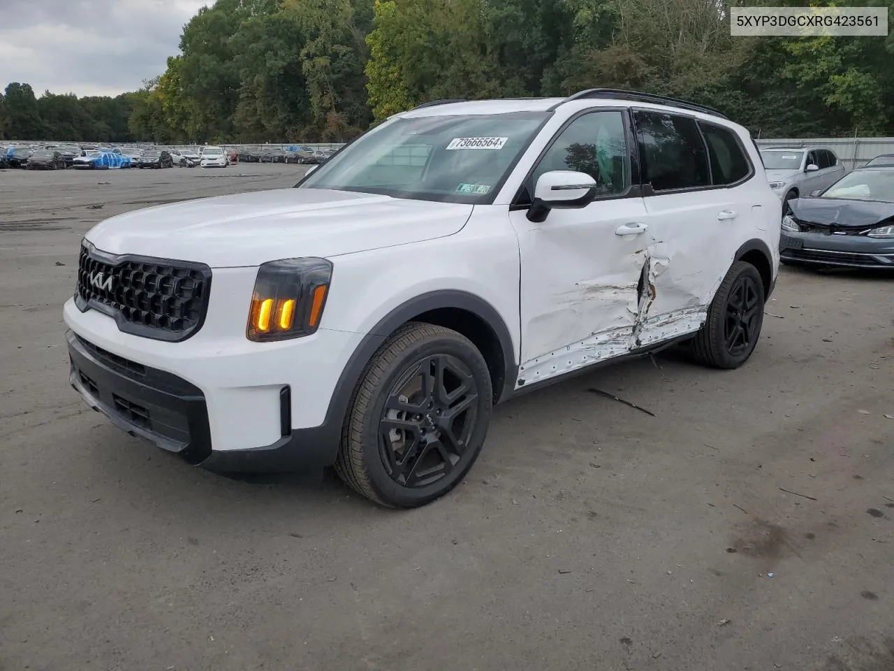 2024 Kia Telluride Ex VIN: 5XYP3DGCXRG423561 Lot: 73666564