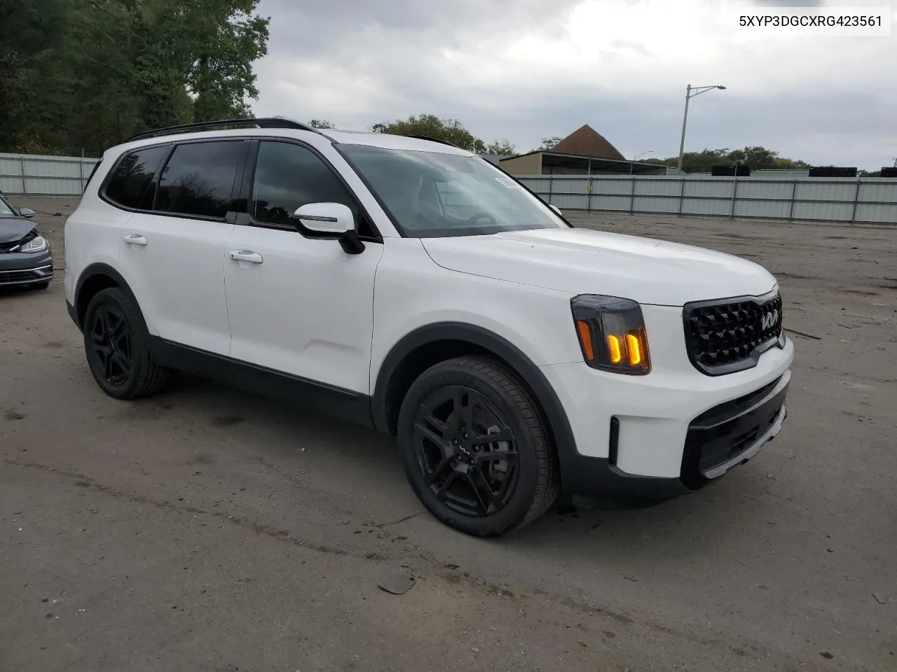 2024 Kia Telluride Ex VIN: 5XYP3DGCXRG423561 Lot: 73666564