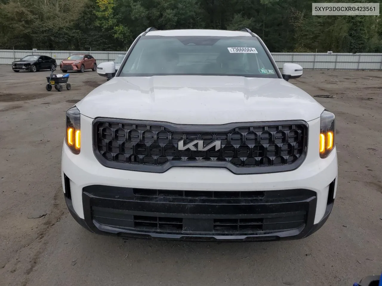 2024 Kia Telluride Ex VIN: 5XYP3DGCXRG423561 Lot: 73666564