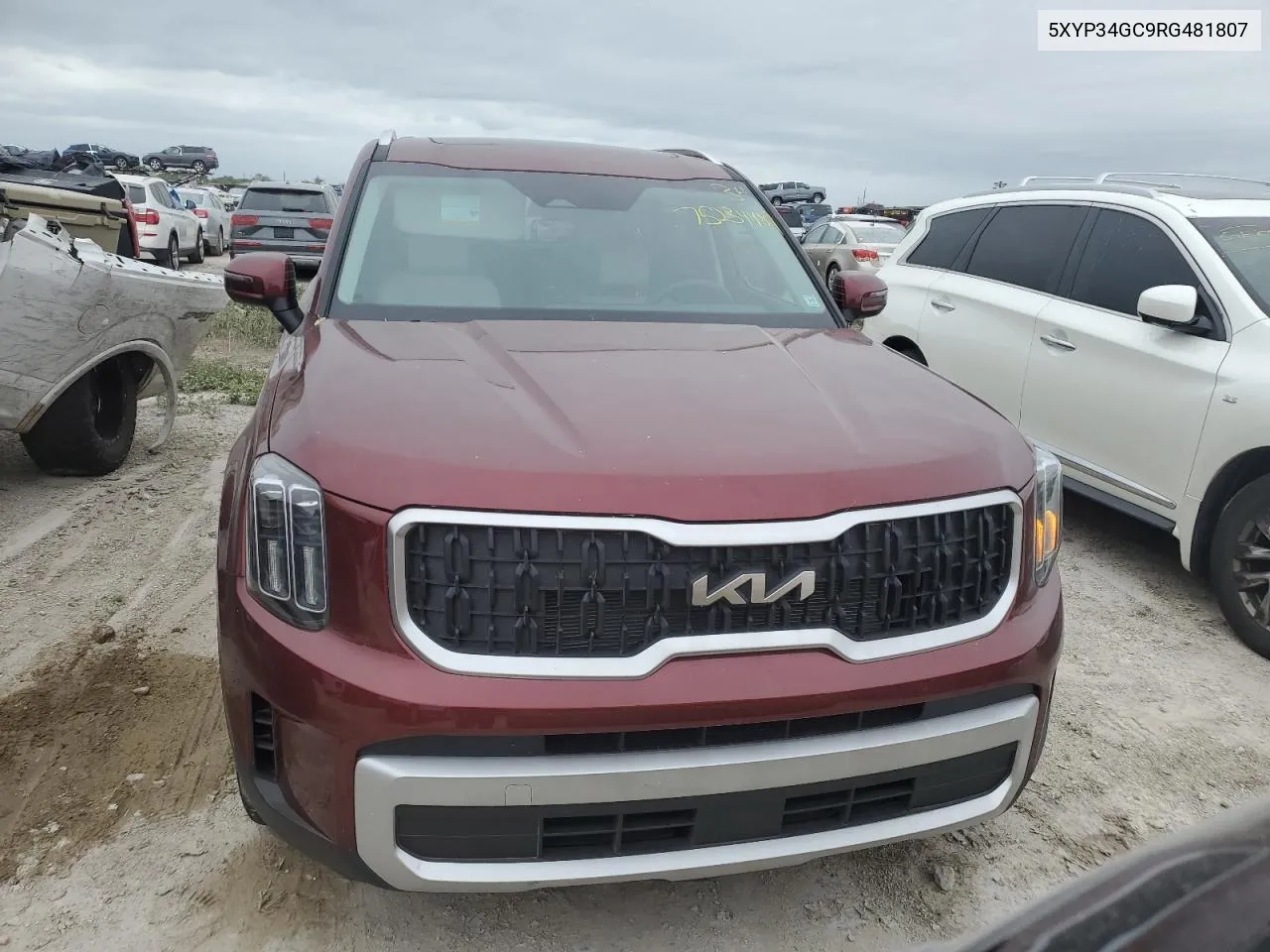 2024 Kia Telluride Ex VIN: 5XYP34GC9RG481807 Lot: 75234484