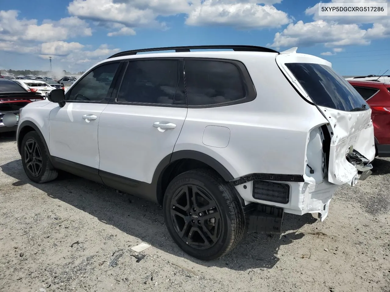 2024 Kia Telluride Sx VIN: 5XYP5DGCXRG517286 Lot: 75268374