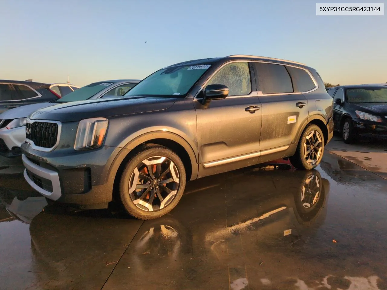 2024 Kia Telluride Ex VIN: 5XYP34GC5RG423144 Lot: 75419694