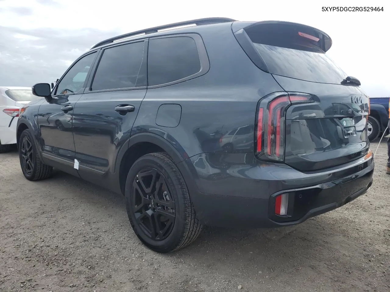 2024 Kia Telluride Sx VIN: 5XYP5DGC2RG529464 Lot: 75616464