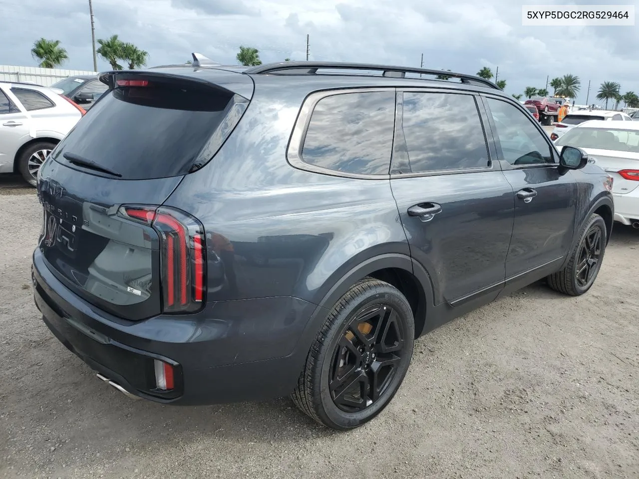 2024 Kia Telluride Sx VIN: 5XYP5DGC2RG529464 Lot: 75616464