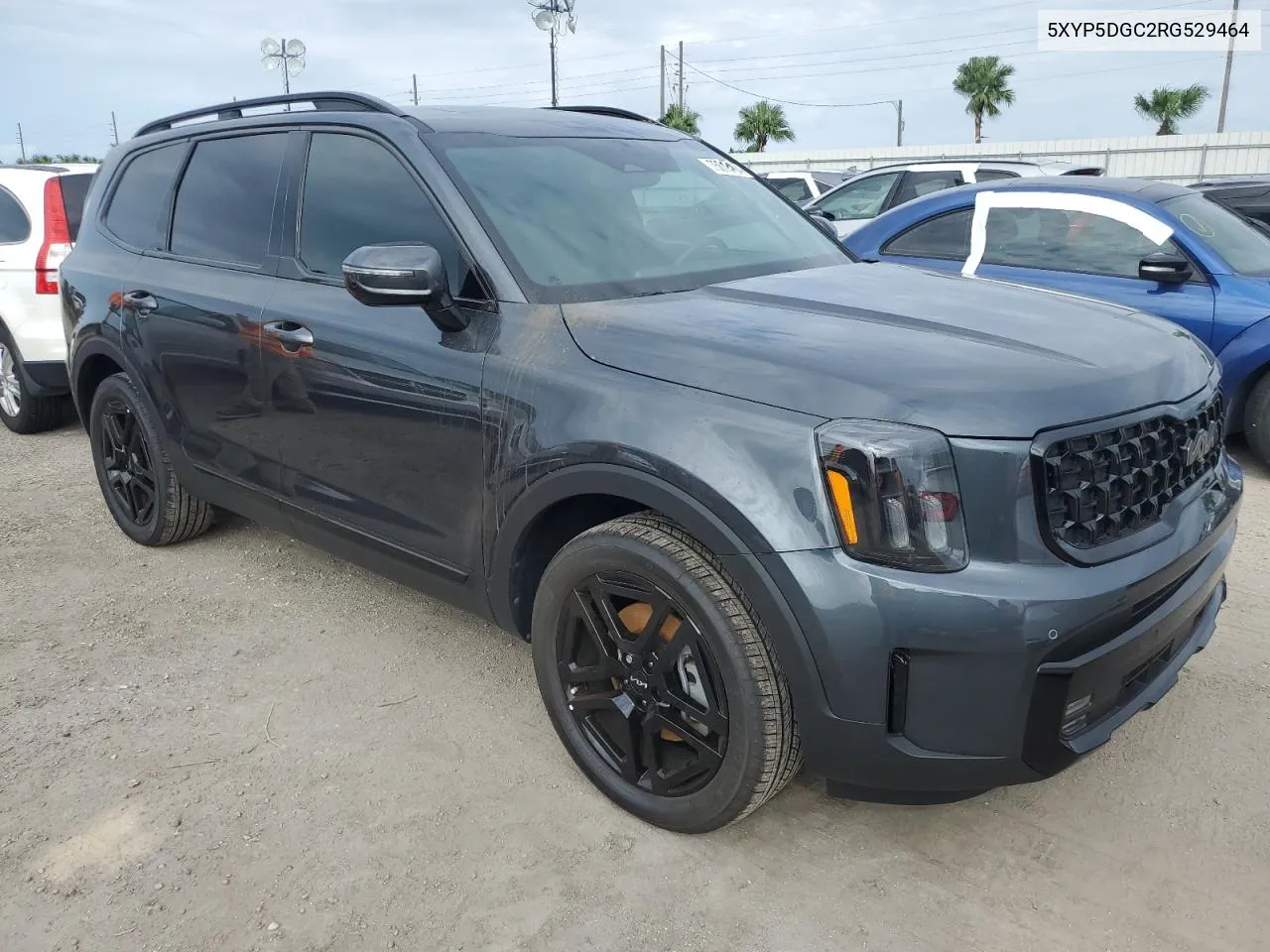 2024 Kia Telluride Sx VIN: 5XYP5DGC2RG529464 Lot: 75616464