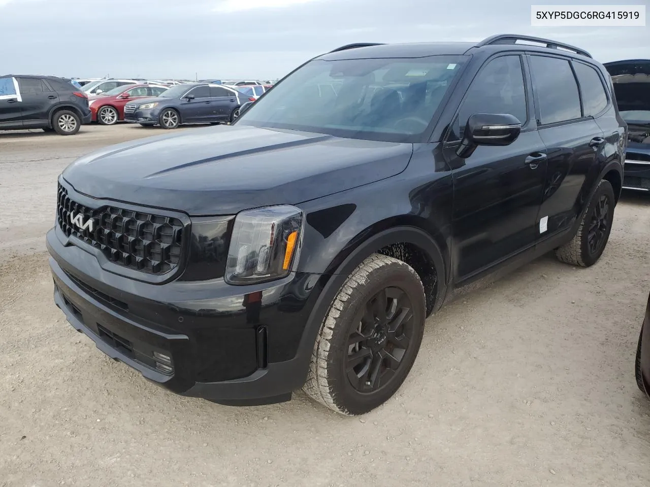 2024 Kia Telluride Sx VIN: 5XYP5DGC6RG415919 Lot: 75928324