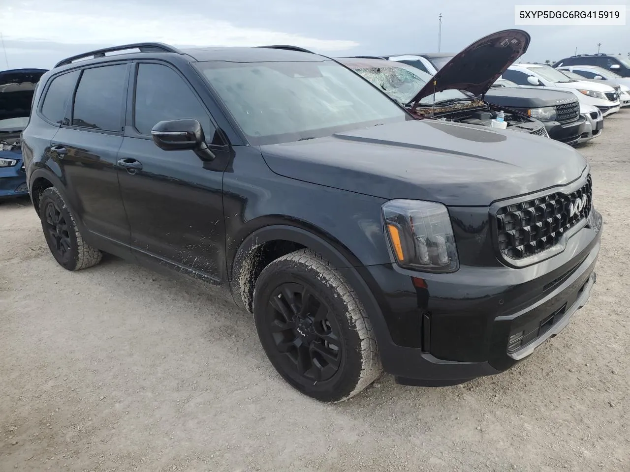 2024 Kia Telluride Sx VIN: 5XYP5DGC6RG415919 Lot: 75928324