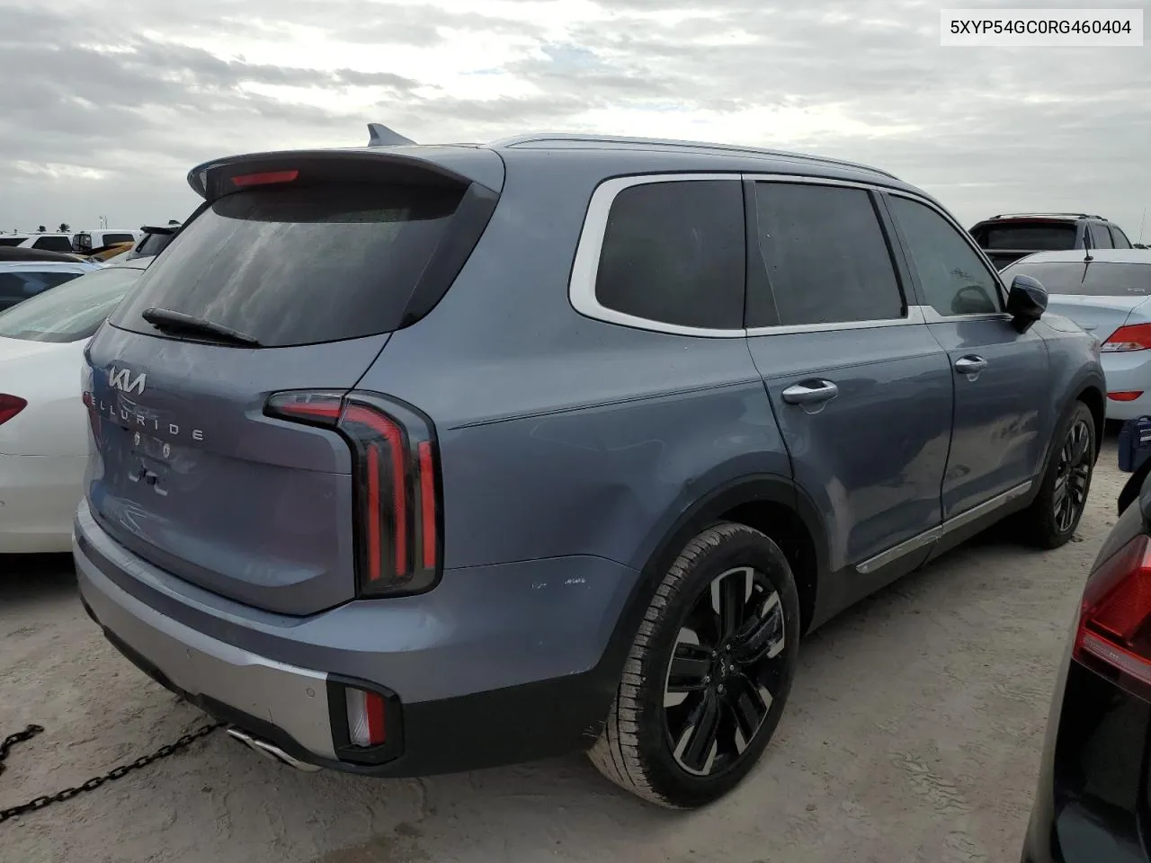 2024 Kia Telluride Sx VIN: 5XYP54GC0RG460404 Lot: 75987574