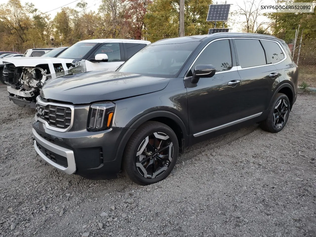 2024 Kia Telluride S VIN: 5XYP6DGC4RG520892 Lot: 76866574