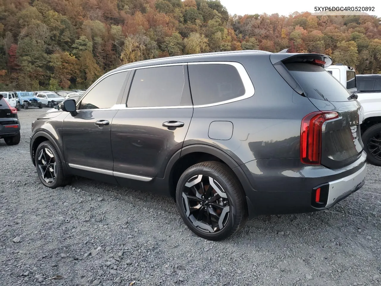 2024 Kia Telluride S VIN: 5XYP6DGC4RG520892 Lot: 76866574