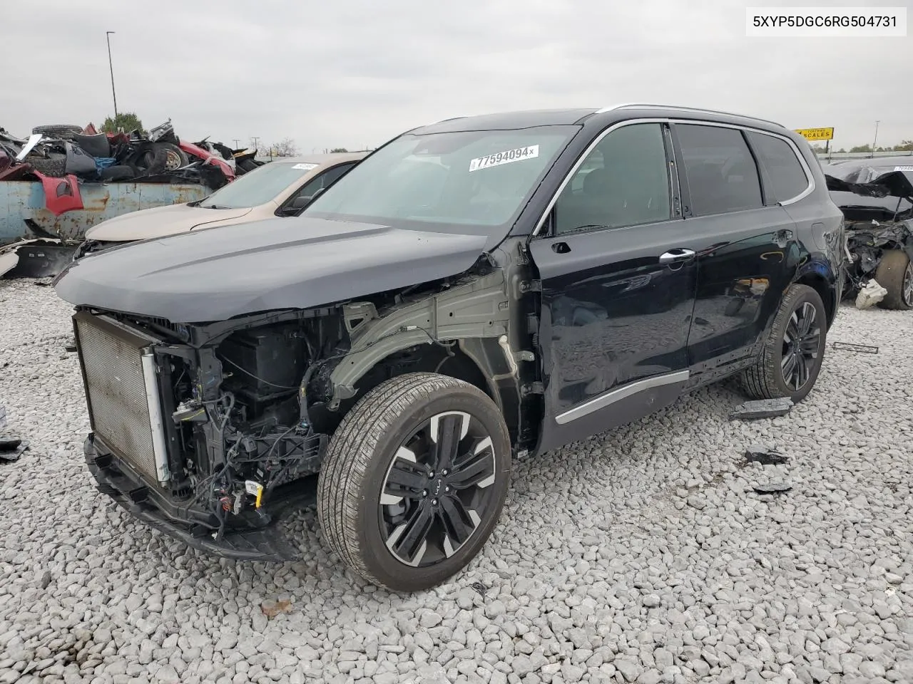 2024 Kia Telluride Sx VIN: 5XYP5DGC6RG504731 Lot: 77594094