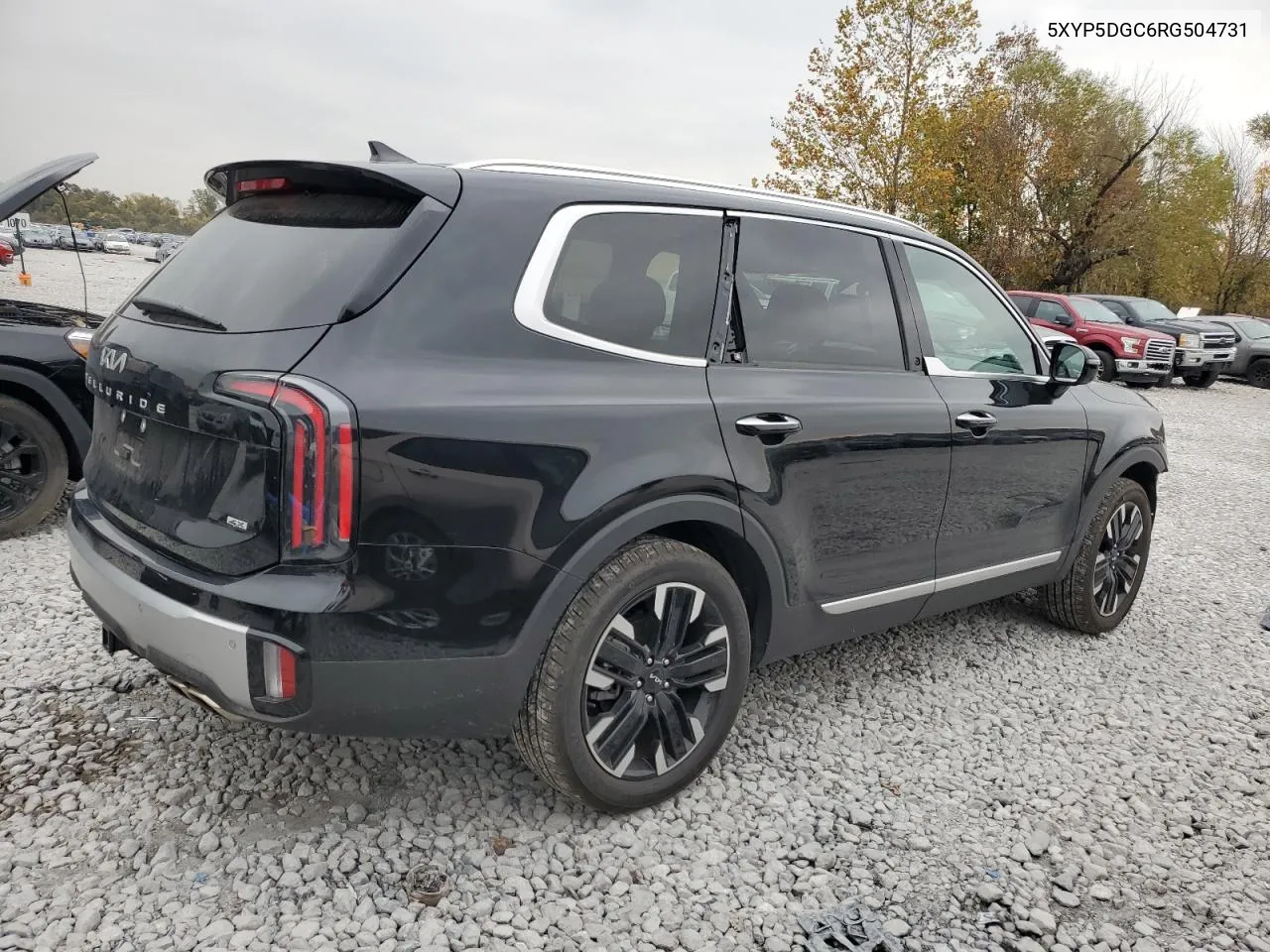 2024 Kia Telluride Sx VIN: 5XYP5DGC6RG504731 Lot: 77594094