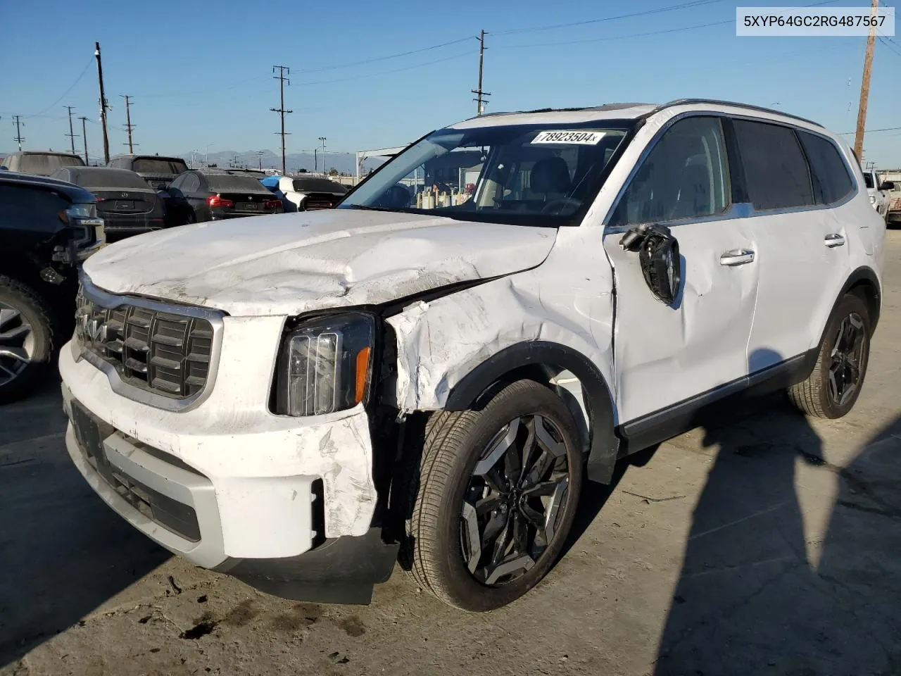 2024 Kia Telluride S VIN: 5XYP64GC2RG487567 Lot: 78923504