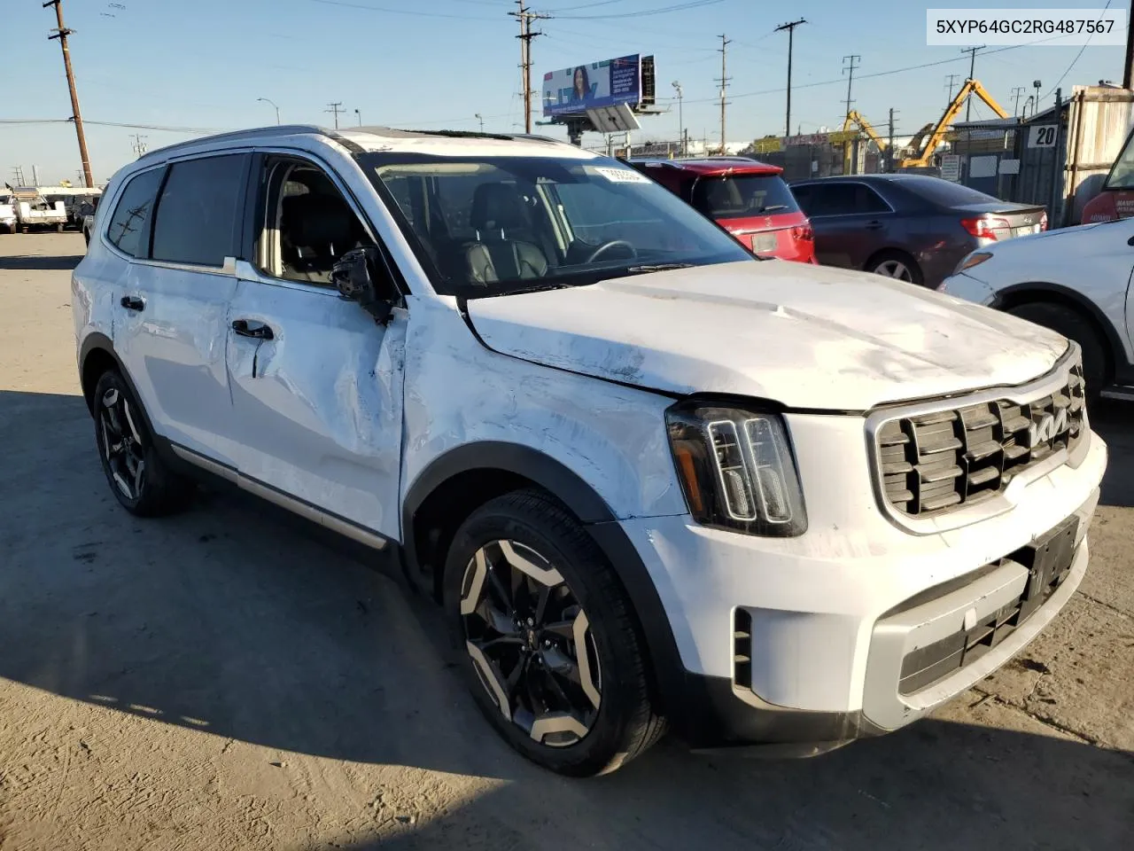 2024 Kia Telluride S VIN: 5XYP64GC2RG487567 Lot: 78923504