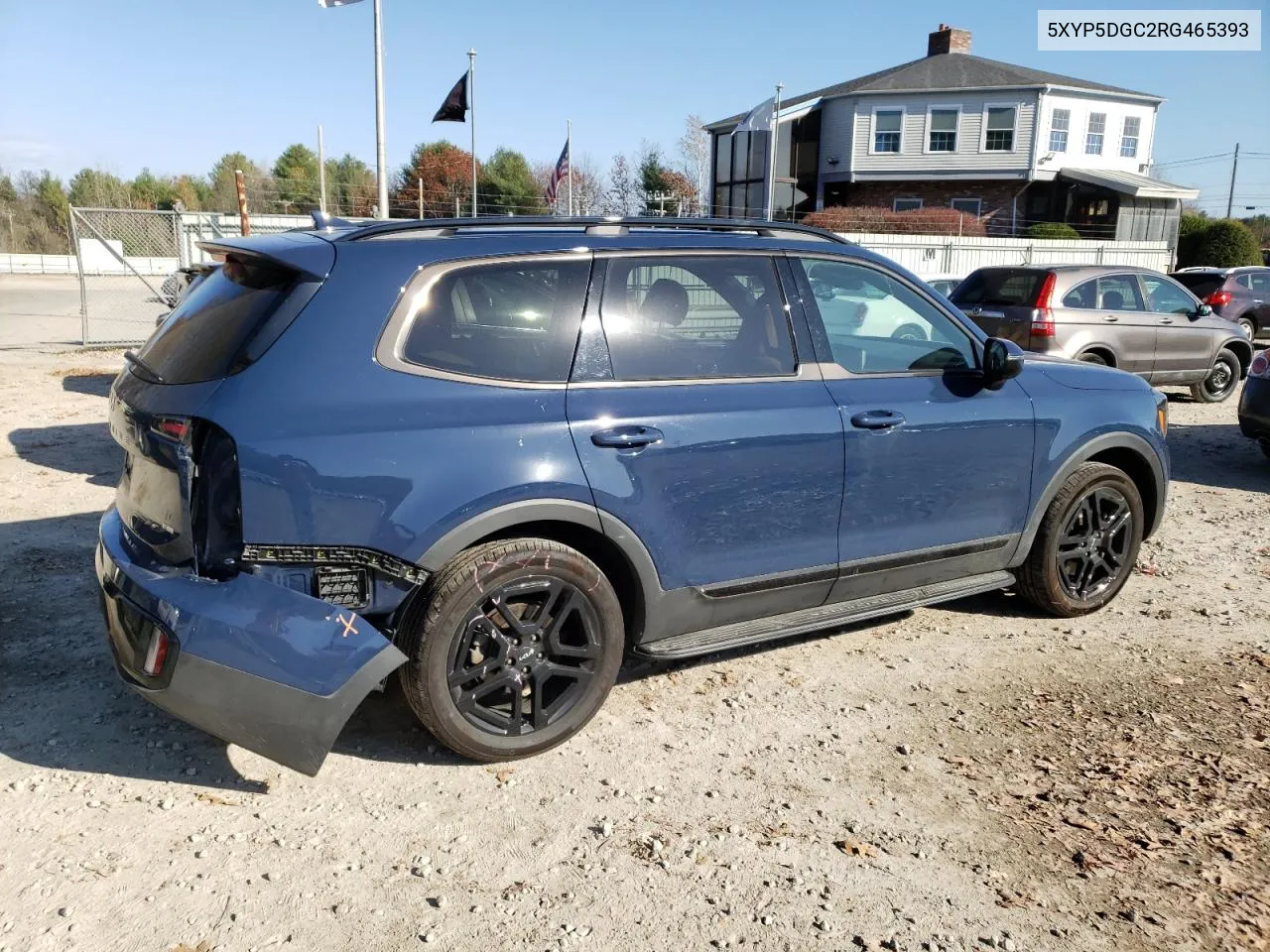 2024 Kia Telluride Sx VIN: 5XYP5DGC2RG465393 Lot: 79226474