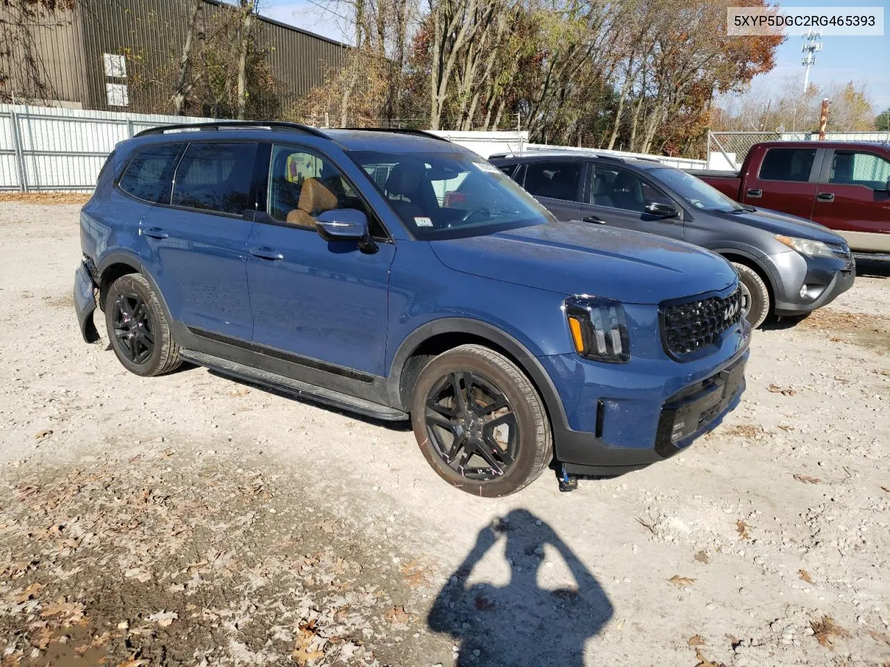 2024 Kia Telluride Sx VIN: 5XYP5DGC2RG465393 Lot: 79226474