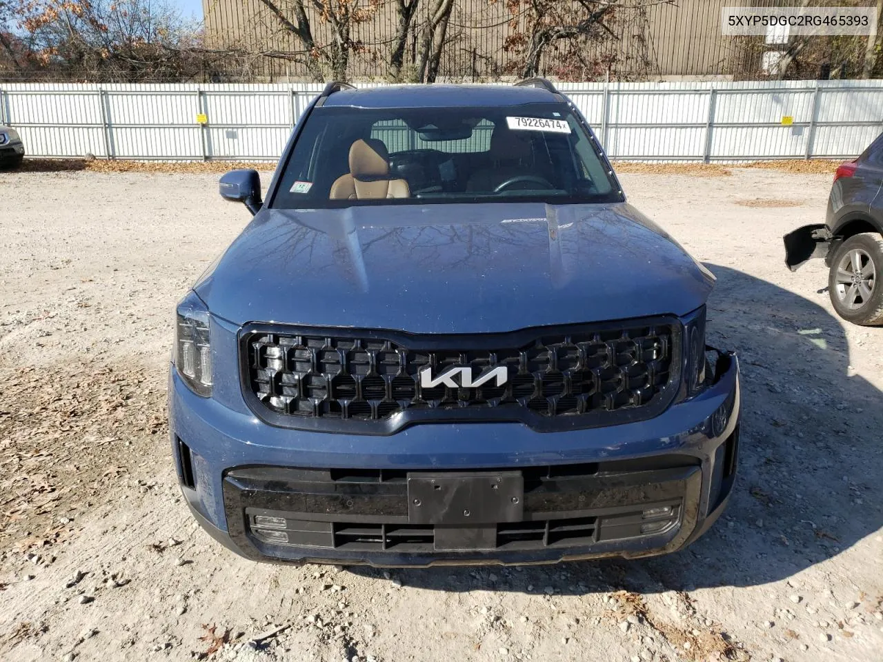 2024 Kia Telluride Sx VIN: 5XYP5DGC2RG465393 Lot: 79226474