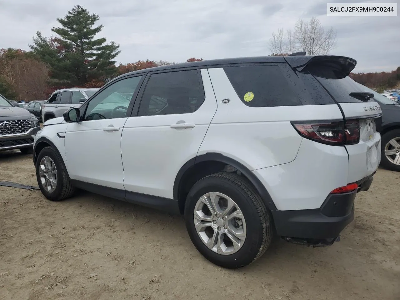 2021 Land Rover Discovery Sport S VIN: SALCJ2FX9MH900244 Lot: 78579154