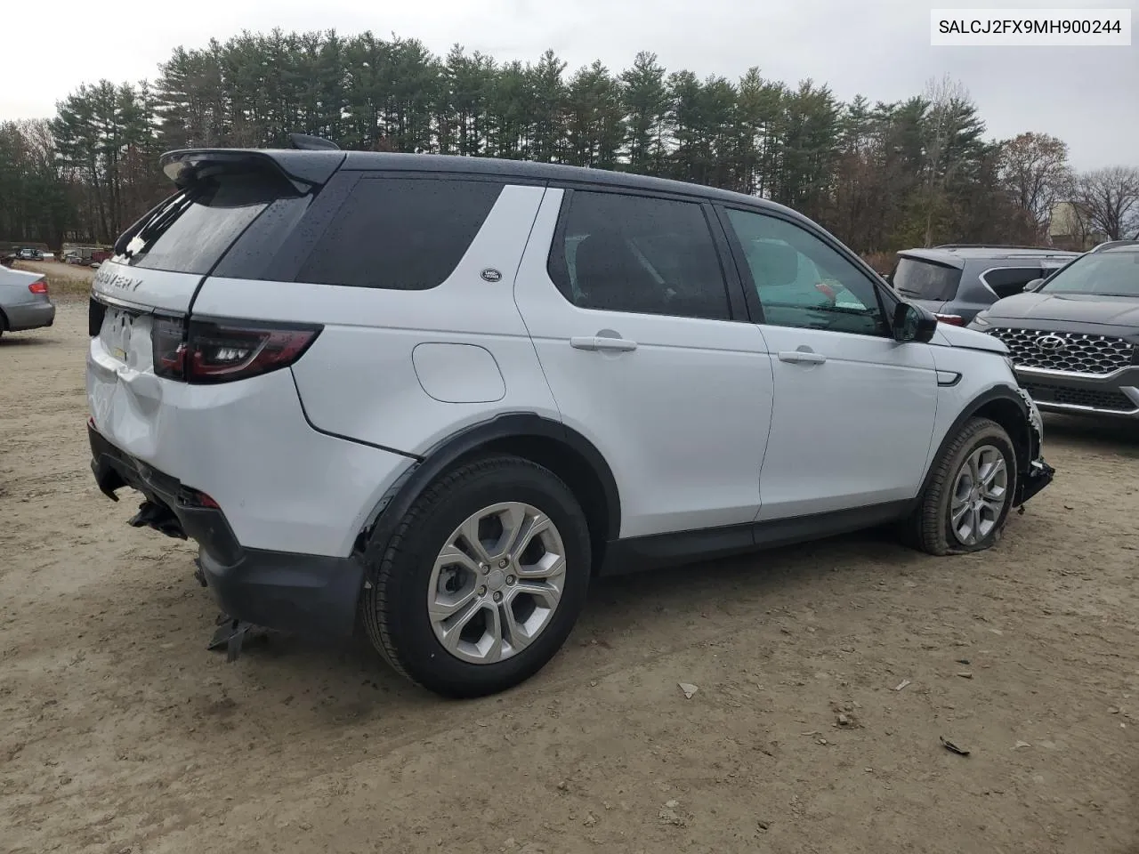 2021 Land Rover Discovery Sport S VIN: SALCJ2FX9MH900244 Lot: 78579154