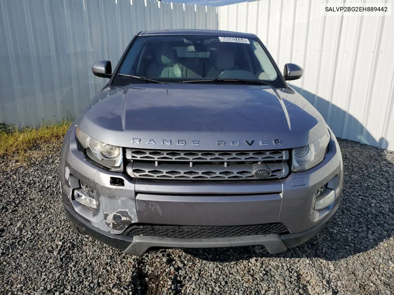 2014 Land Rover Range Rover Evoque Pure Plus VIN: SALVP2BG2EH889442 Lot: 68502434