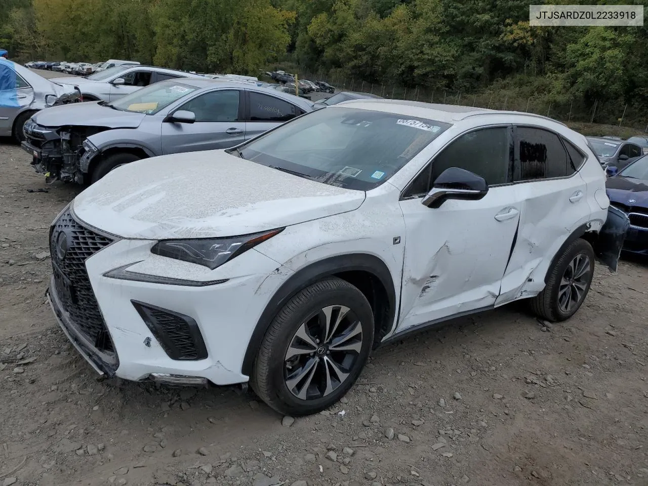 JTJSARDZ0L2233918 2020 Lexus Nx 300 F Sport